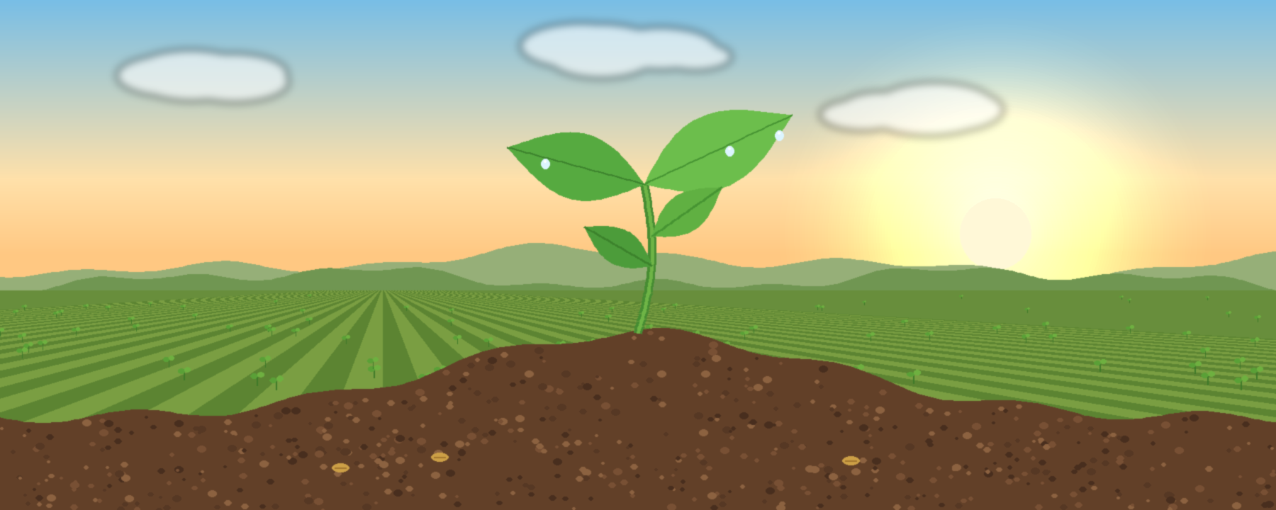 From Small Savings to a Secure Tomorrow